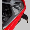 Armaturenbretter für Ducati Panigale V4 - Carbon