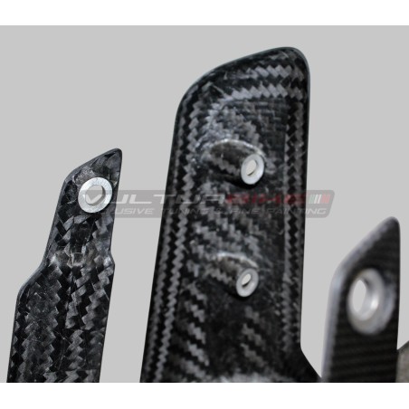 Guardabarros delantero de carbono - Ducati Multistrada V2 / V2S
