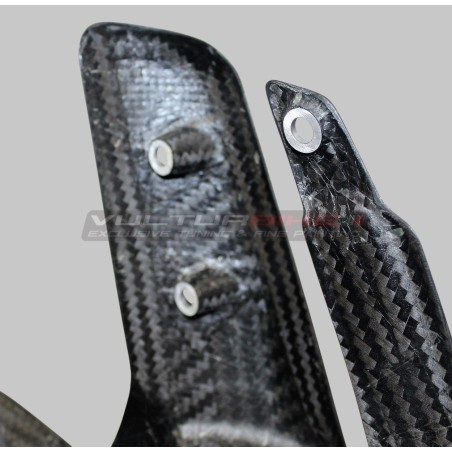 Carbon Kotflügel vorne - Ducati Multistrada V2 / V2S