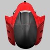 Parafango anteriore carbonio verniciato per Ducati Multistrada V2 / V2S