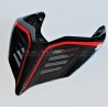 Cola de carbono personalizada - Panigale Ducati V4 / V4R / V4S / V2 2020 / Streetfighter V2 - V4