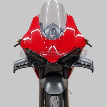 Cupolino inferiore sottofaro - Ducati Panigale V4 / V4S