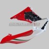 Cupolino superiore e inferiore - Ducati Panigale V4 / V4S