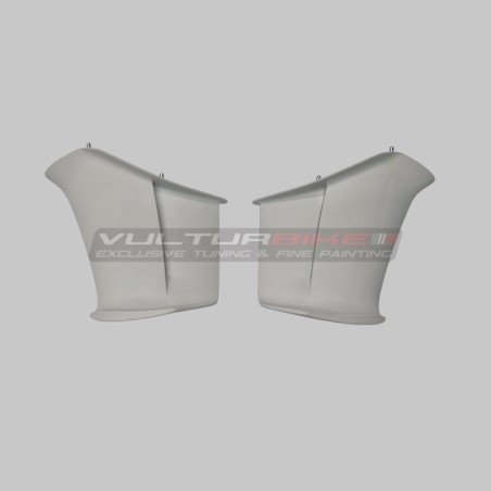 Paar originale Flügel aus unlackierten Kunststofffasern - Ducati Panigale V4 / V4S