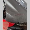 Cupolino anteriore in carbonio per Ducati Panigale V4