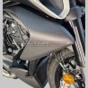 Obere Carbon-Seitenverkleidungen - Ducati Diavel V4