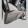 Carbon-Verkleidung für die untere Zehenpartie - Ducati Diavel V4