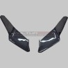 Cache en fibre de carbone pour phare carénages - Ducati Panigale 2020 / 2024