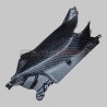 Kohlefaser Verkleidung Seitenteile für Ducati Panigale V4 / V4S