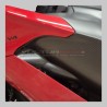 Kohlefaser Verkleidung Seitenteile für Ducati Panigale V4 / V4S