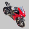 Evolution carbon tail - Ducati Panigale and Streetfighter V4 / V4S