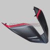 Custom Carbon Heck - Ducati Panigale und Streetfighter V4 / V4S
