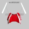 Decorative strips for battery cover - Ducati Panigale / Streetfighter V2