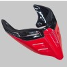 Evolution single-seater tail road / racing version - Ducati Panigale / Streetfighter 2018 / 2024