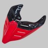Codone monoposto evolution versione stradale / racing - Ducati Panigale / Streetfighter 2018 / 2024