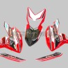 Aruba Team Design Klebstoff-Kit - Ducati Hypermotard 821/939