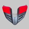 Lackiertes Carbon-Heck für Ducati Panigale und Streetfighter V4 / V4S