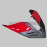 Painted carbon tail for Ducati Panigale and Streetfighter V4 / V4S