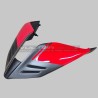 Codino in carbonio verniciato per Ducati Panigale e Streetfighter V4 / V4S