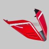 Evolution carbon tail for Ducati Panigale and Streetfighter V4 / V4S