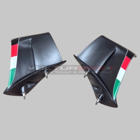 Alette in carbonio personalizzate SBK per Ducati Panigale V4