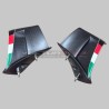 Ailerons carbone personnalisés SBK pour Ducati Panigale V4