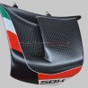 SBK Custom Carbon Finnen für Ducati Panigale V4