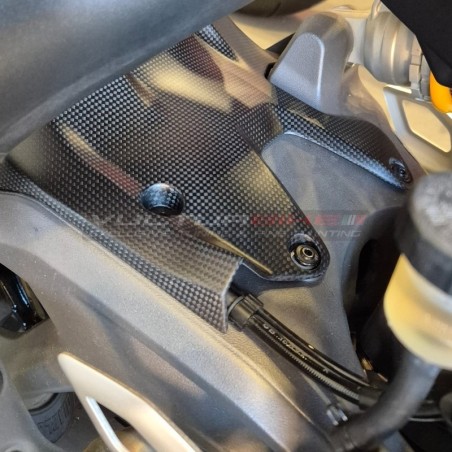 Kotflügel hinten aus Kohlefaser - Ducati Panigale V2 / V2S