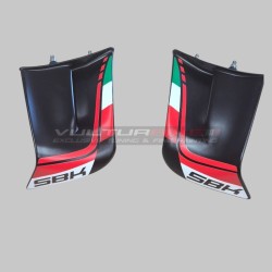 Coppia alette in fibre plastiche colorate - Ducati Panigale V4 2022 / 2024