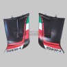 Pair of coloured plastic fibre fins - Ducati Panigale V4 2022 / 2024