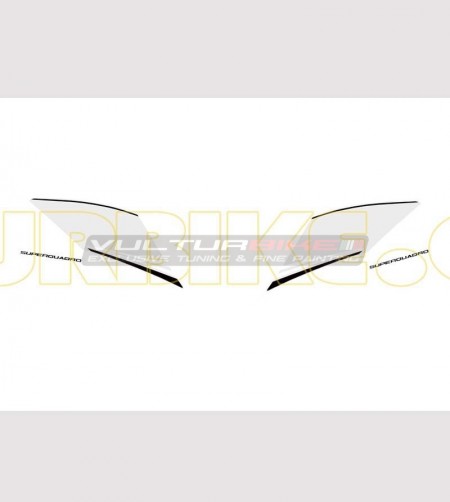 Adesivi personalizzabili per pannelli codone - Ducati Panigale 899/1199 
