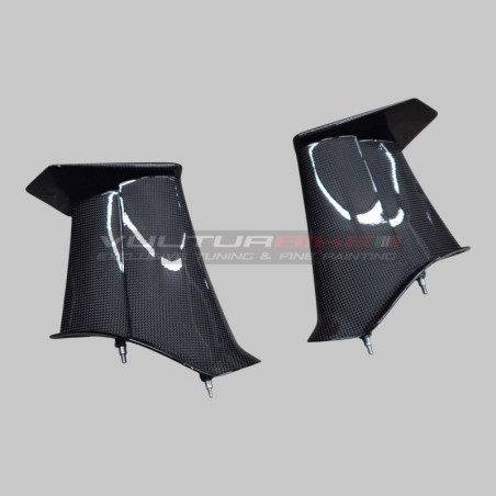 Set ali in carbonio versione V4R per Ducati Panigale V4 / V4S / V4R
