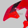 Decorative decals set for fairings Ducati Panigale V4 2018 / 2019