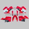 Decorative decals set for fairings Ducati Panigale V4 2018 / 2019