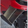 V4R version carbon wing set for Ducati Panigale V4 / V4S / V4R