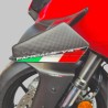 V4R-Version Kohlenstoff-Flügelset für Ducati Panigale V4 / V4S / V4R