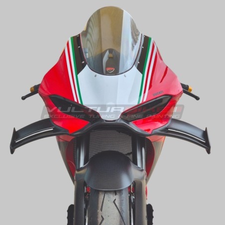 V4R version carbon wing set for Ducati Panigale V4 / V4S / V4R