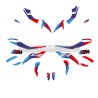 Kit completo de pegatinas de diseño personalizado - BMW S1000XR 2020 / 2023