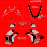 Set decalcomanie Lamborghini style per Ducati Panigale V4 / V4S