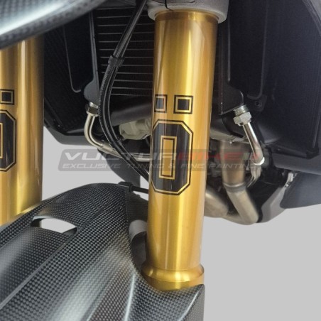 Films de protection en pierre pour les pieds de fourche Ohlins Ducati Multistrada V4RS / V4 Pikes Peak