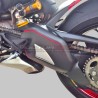 Protezione forcellone in carbonio personalizzata - Ducati Streetfighter V4 / V4S
