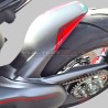 Protection de force en carbone personnalisée - Ducati Streetfighter V4 / V4S