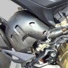 Protezione scarico EURO5 - Ducati Panigale V4 / Streetfighter V4