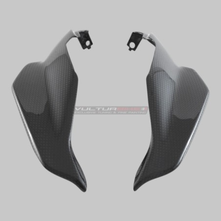 Carbon fiber lower windshield under headlight - Ducati Streetfighter V4 and V2
