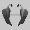 Parabrisas inferior de fibra de carbono bajo el faro - Ducati Streetfighter V4 y V2