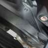 Carbon Rear Fender - Ducati Multistrada V4 Pikes Peak - RS