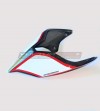 Codino Carbonio Versione Strada Exclusive - Ducati Panigale V2- V4 Streetfighter V2-V4