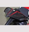 Dunkles Carbon-Heck - Ducati Panigale V4 / V4S / V4R