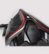 Queue en carbone foncé - Ducati Panigale V4 / V4S / V4R