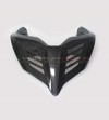 Carbon dark tail - Ducati Panigale V4/ V4S / V4R